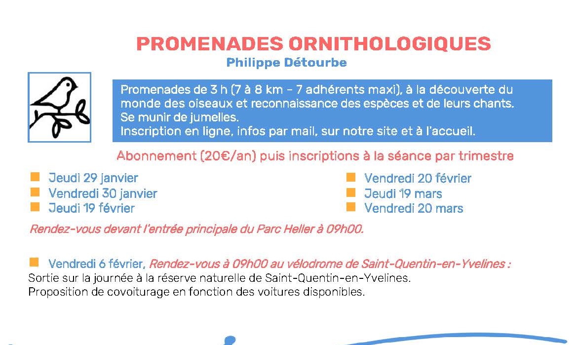 Sorties Ornithologiques